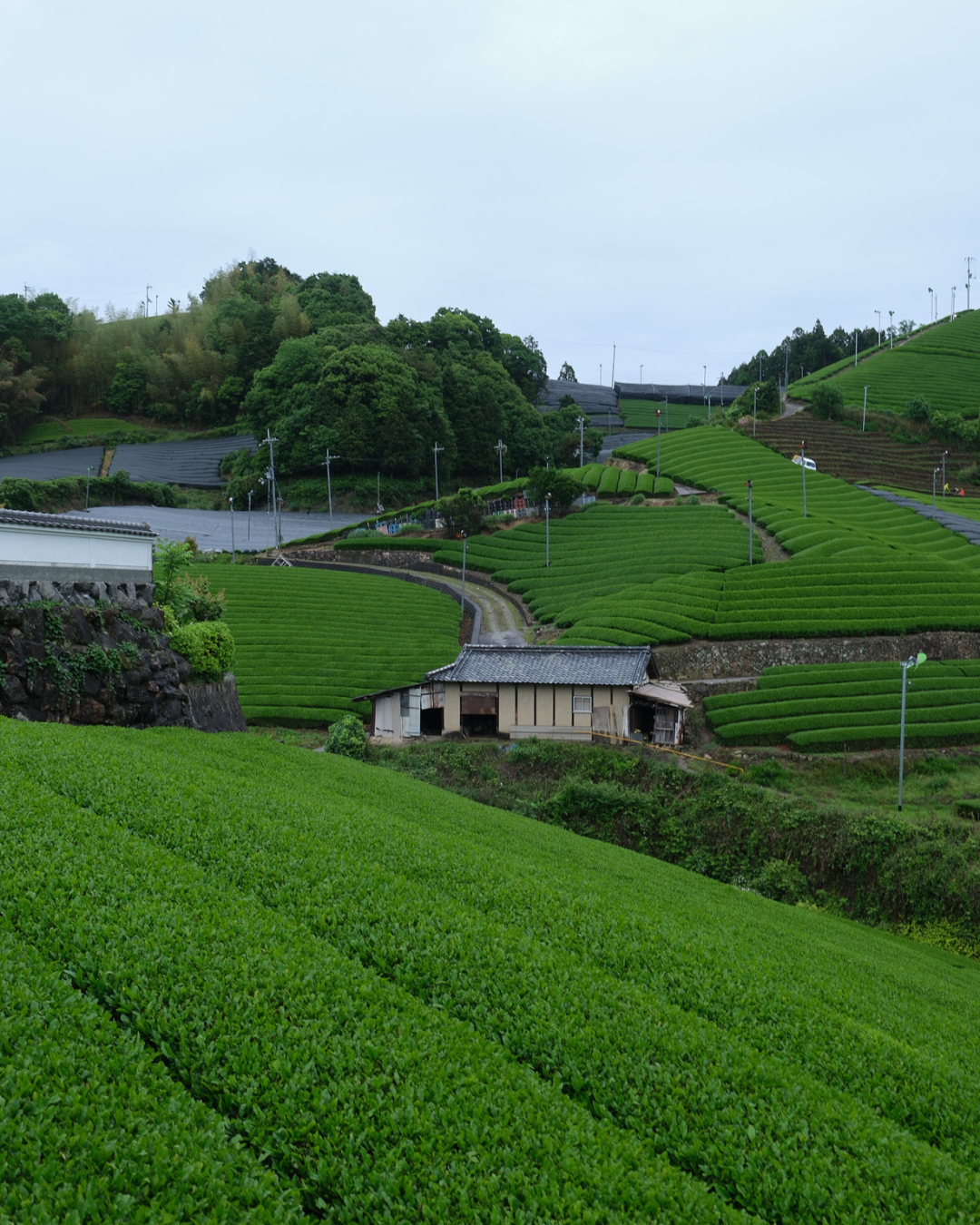 Kyoto Prefecture