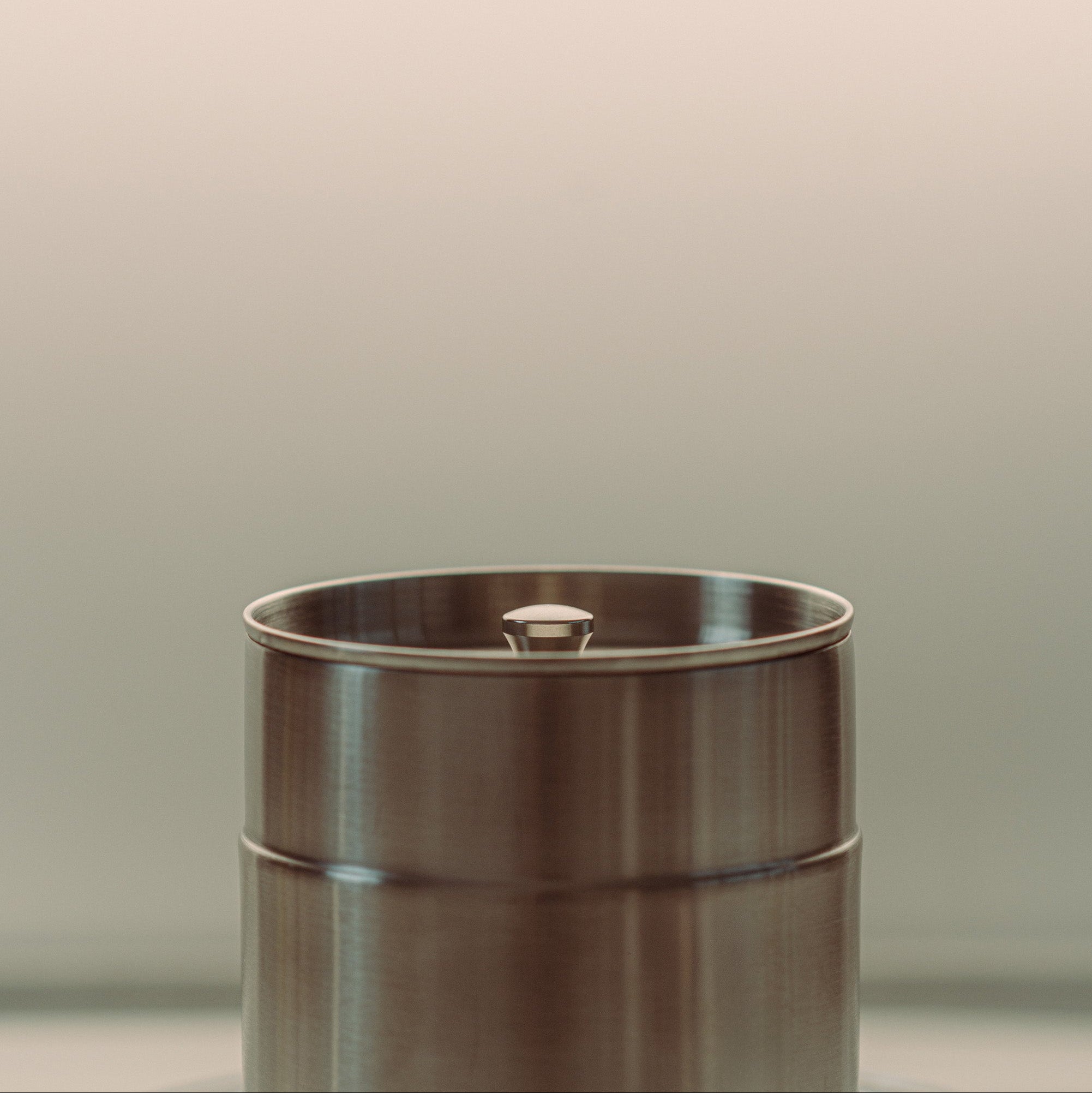 A brushed stainless steel cylindrical container or grinder with a small central knob, shown against a soft gradient background that fades from warm beige at the top to gray-green at the bottom.
