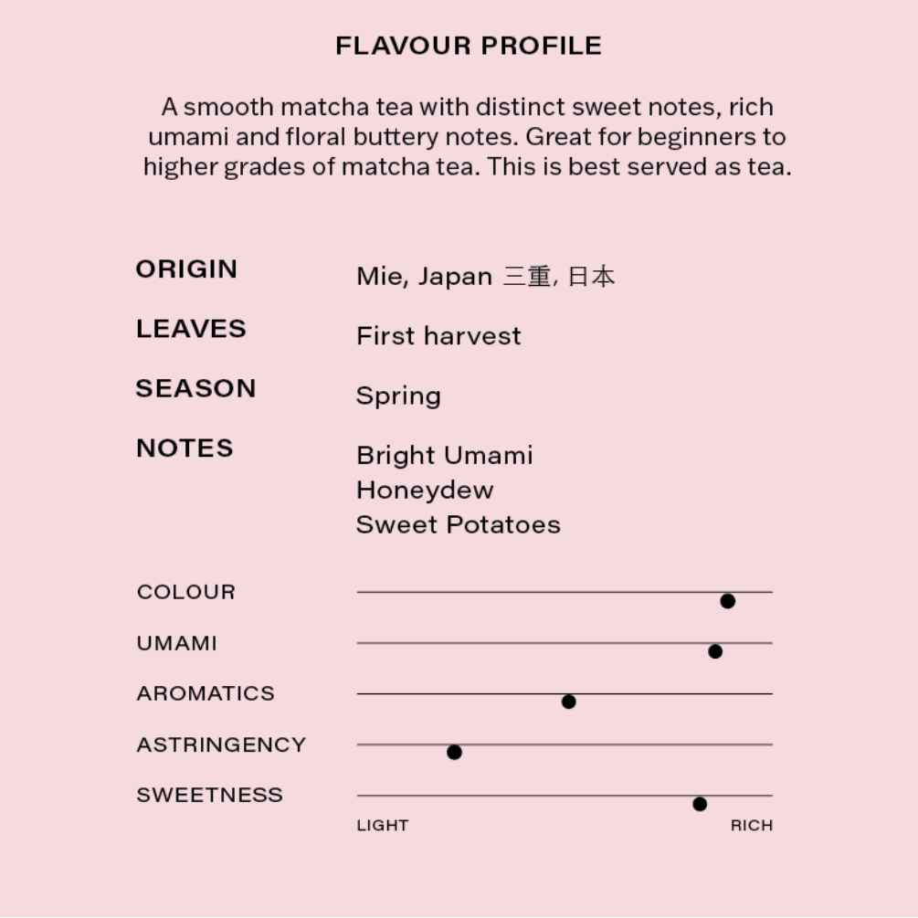 Flavour profile of Superior Matcha tea on a pink background