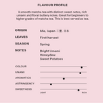 Flavour profile of Superior Matcha tea on a pink background