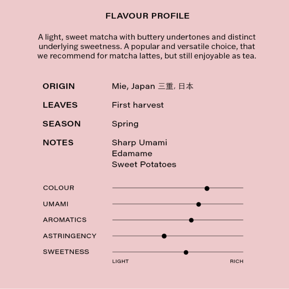 Premium Matcha flavor profile on a pink background
