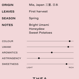 Superior Mie Matcha Pouch